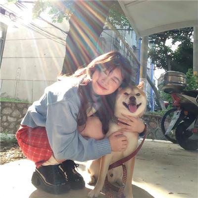 金装律师(日版)